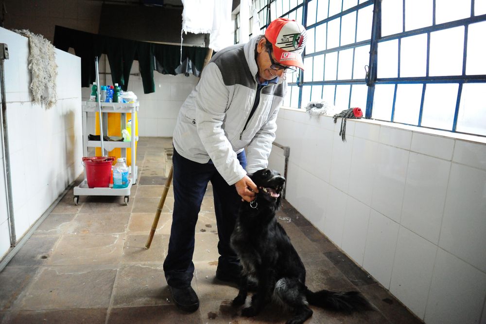 Famílias resgatadas de áreas de risco em Caxias do Sul têm companhia de animais de estimação