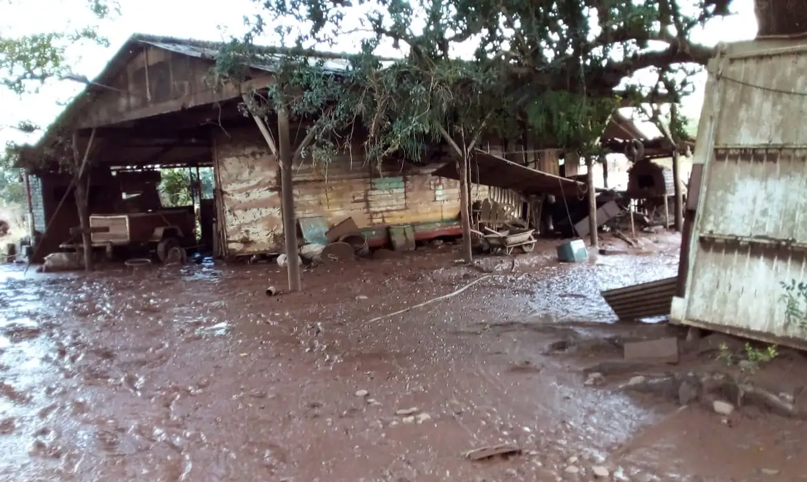 Mais de 206 mil propriedades rurais foram afetadas pelas enchentes no Rio Grande do Sul