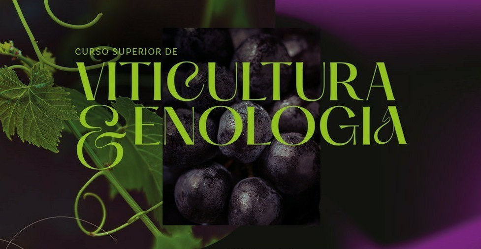 Centro Empresarial de Flores da Cunha realiza encontro informativo sobre o Curso Superior em Viticultura e Enologia