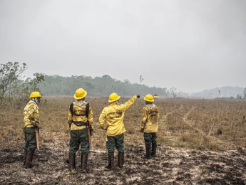 Ministro do STF autoriza orçamento de emergência no governo federal para combate a incêndios