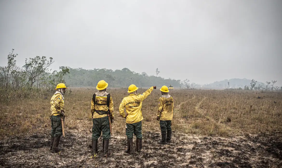 Ministro do STF autoriza orçamento de emergência no governo federal para combate a incêndios