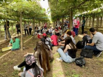 Abertas as inscrições para concorrer à bolsa de estudo da Escola Família Agrícola, em Flores da Cunha