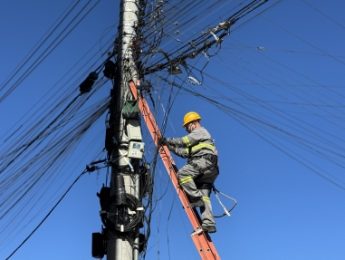 Cerca de 500 quilos de fios inativos são retirados dos postes de Flores da Cunha
