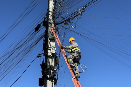 Cerca de 500 quilos de fios inativos são retirados dos postes de Flores da Cunha