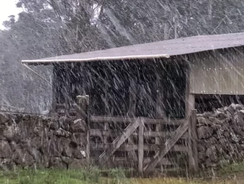 Neve é registrada em São José dos Ausentes, nos Campos de Cima da Serra