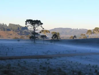 Serra Gaúcha pode ter temperaturas negativas e até neve nos próximos dias
