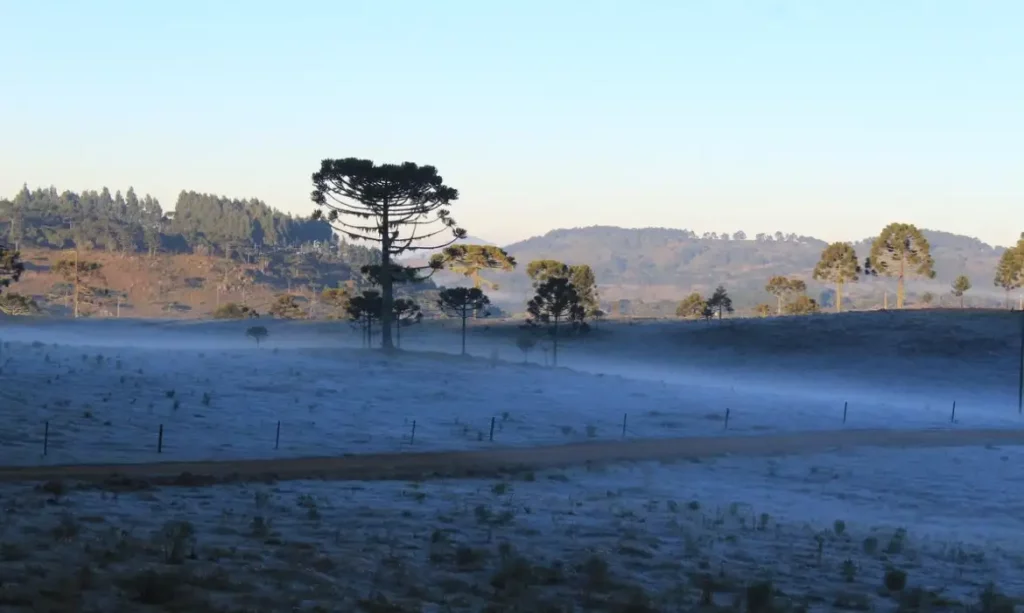 Serra Gaúcha pode ter temperaturas negativas e até neve nos próximos dias