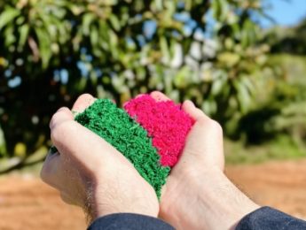 Devido à chuva, programação de Corpus Christi em Flores da Cunha sofre alterações