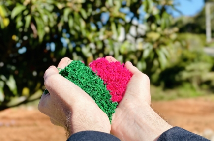 Devido à chuva, programação de Corpus Christi em Flores da Cunha sofre alterações