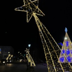 Foto: Maria Eduarda Schiavenin/Prefeitura de Flores da Cunha