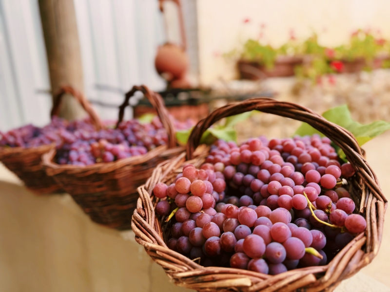 Foto: Prefeitura de Flores da Cunha/Divulgação Foto: Prefeitura de Flores da Cunha/Divulgação