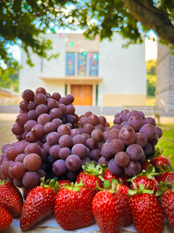 Foto: Fecouva/Divulgação