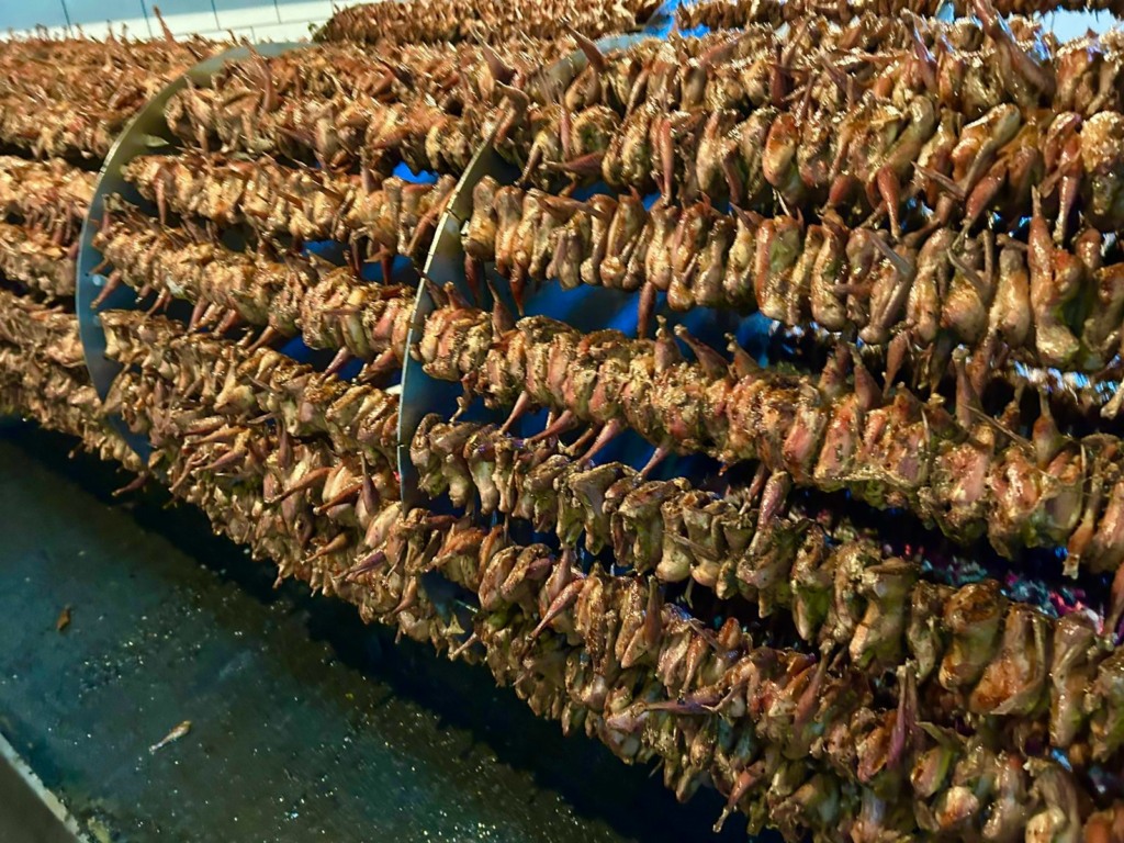 Menarosto é o prato típico do município - Foto: Divulgação Menarosto é o prato típico do município - Foto: Divulgação